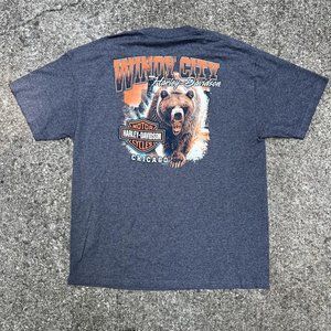 Harley Davidson Cycles Windy City Bear Chicago Grey Short Sleeve Tee Men's XL